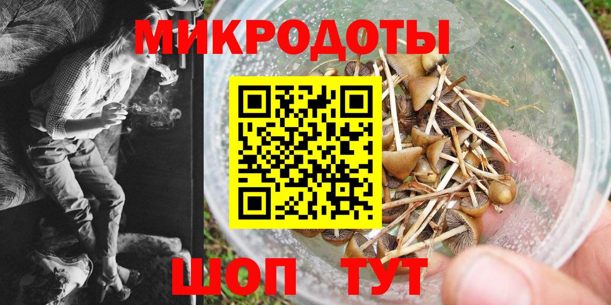 Галлюциногенные грибы MAGIC MUSHROOMS Кушва